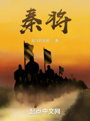 《秦将》小说封面