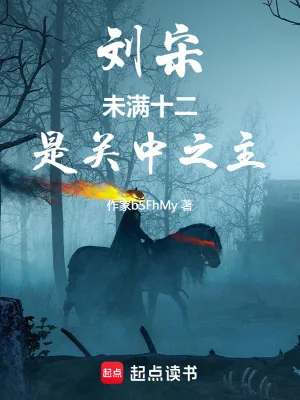 《刘宋：未满十二，是关中之主》小说封面