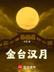 《金台汉月》小说封面